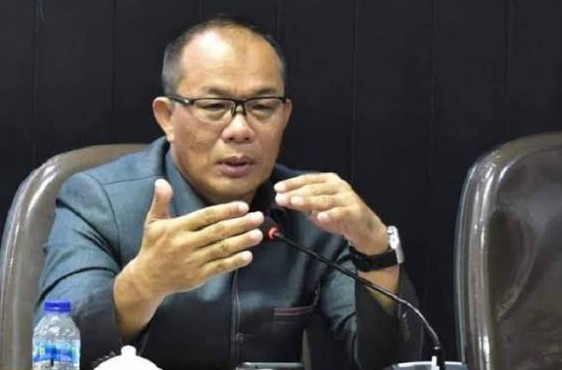 Ketua Komisi I DPRD Kota Pekanbaru Robin Eduar (foto/int)